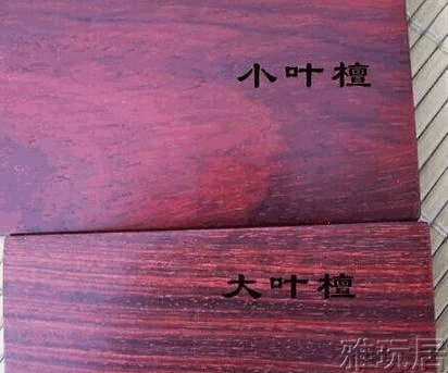 大叶紫檀与小叶紫檀切面对比