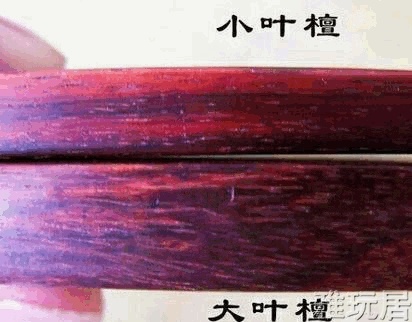 大叶紫檀与小叶紫檀切面对比