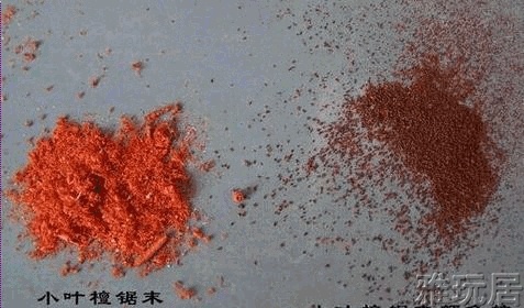 大叶紫檀与小叶紫檀锯末对比