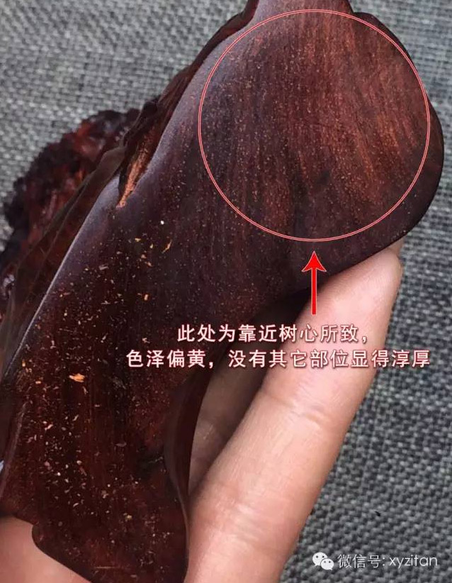 小叶紫檀靠近树心的料质会紫檀素弱