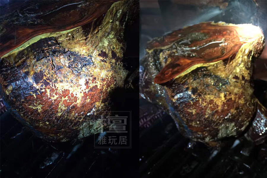 瘤疤切片2