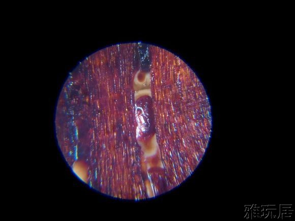 金星胶状物