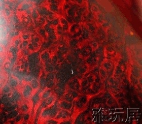 满樱子纹路