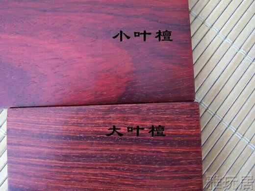 小叶紫檀跟大叶紫檀纵切面对比