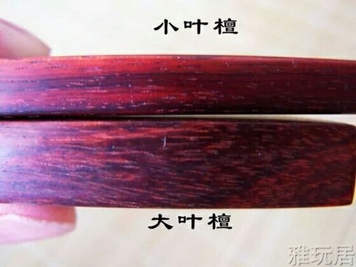 小叶紫檀跟大叶紫檀对比