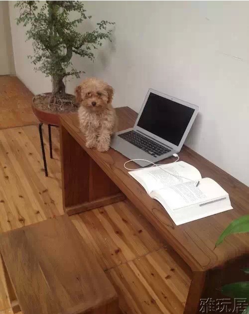 可以放电脑