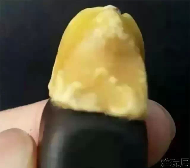 缅茄菩提发芽前