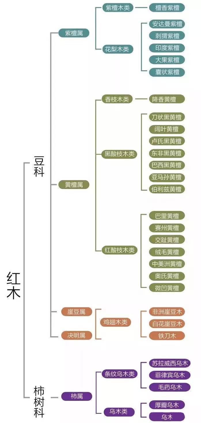 印度小叶紫檀原木